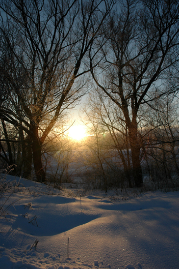 Красота природы. Узуново.